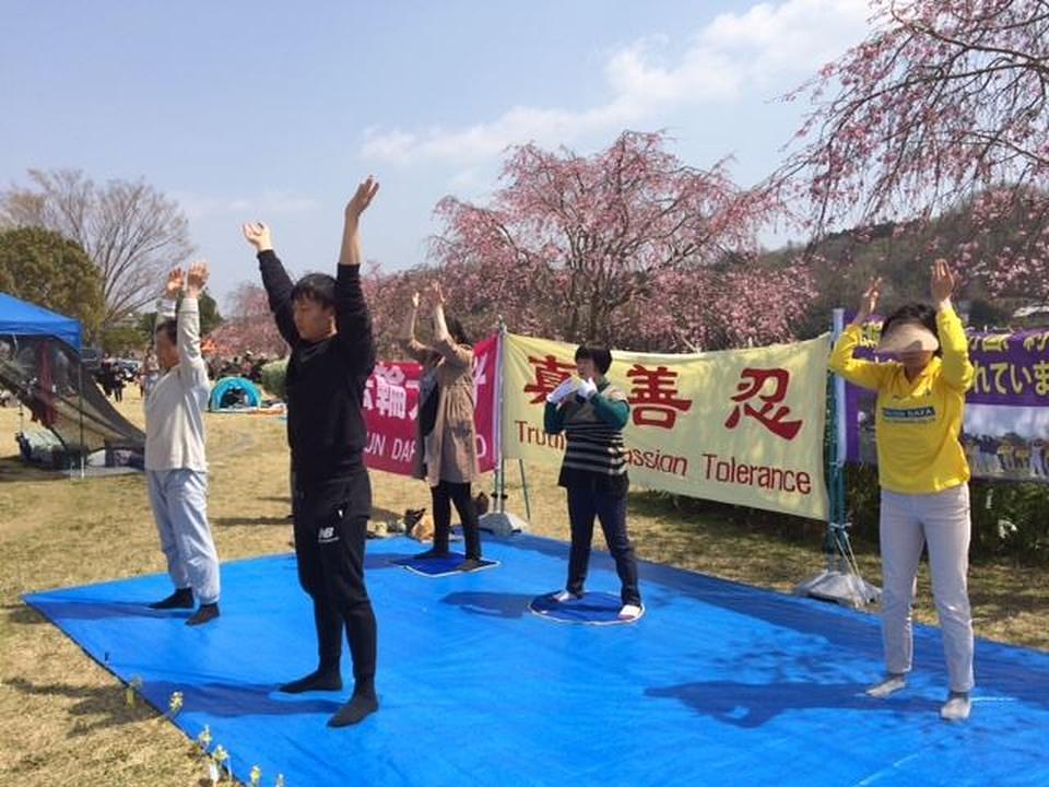 Prakticiranje Falun Gonga u parku Suigen tokom festivala trešnjinog cvijeta