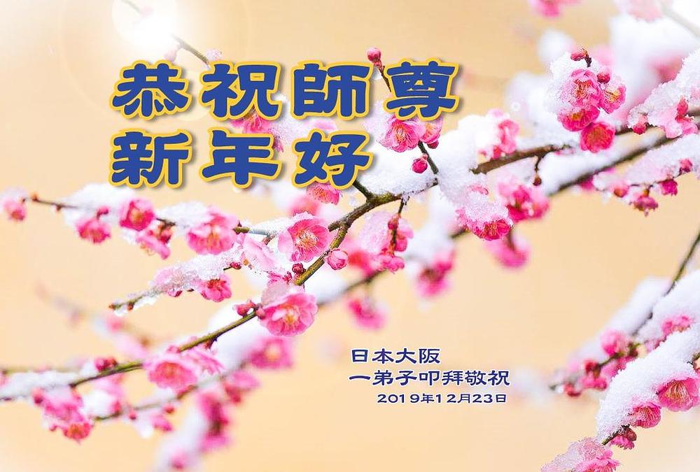 Praktikanti iz Japana žele Učitelju Liju sretnu Novu godinu!