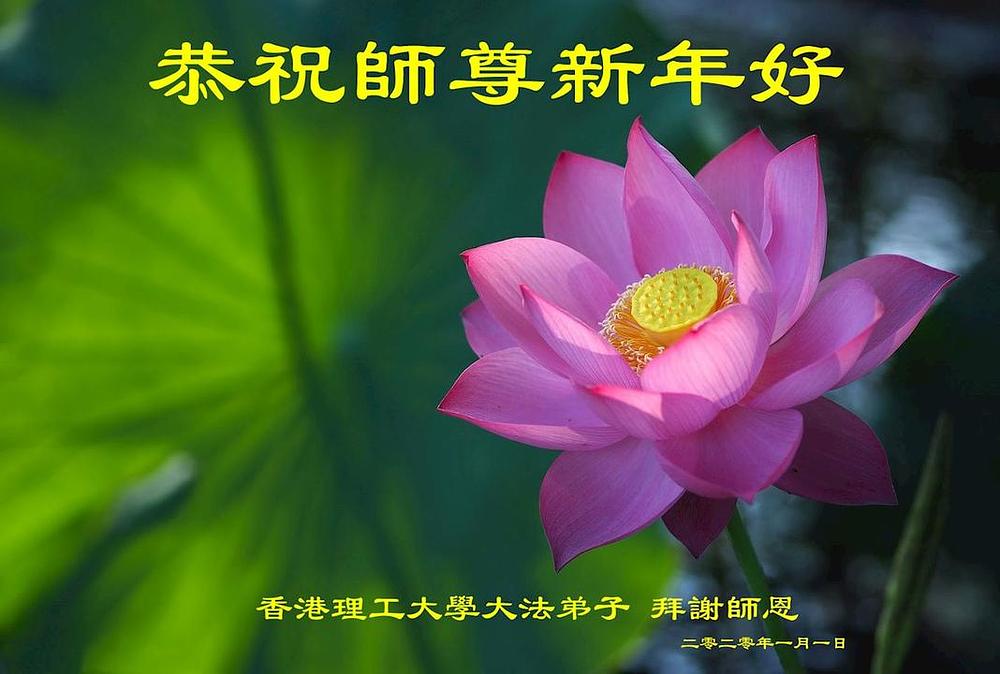 Praktikanti sa Politehničkog Univerziteta u Hong Kongu iskreno žele Učitelju Liju sretnu Novu godinu!