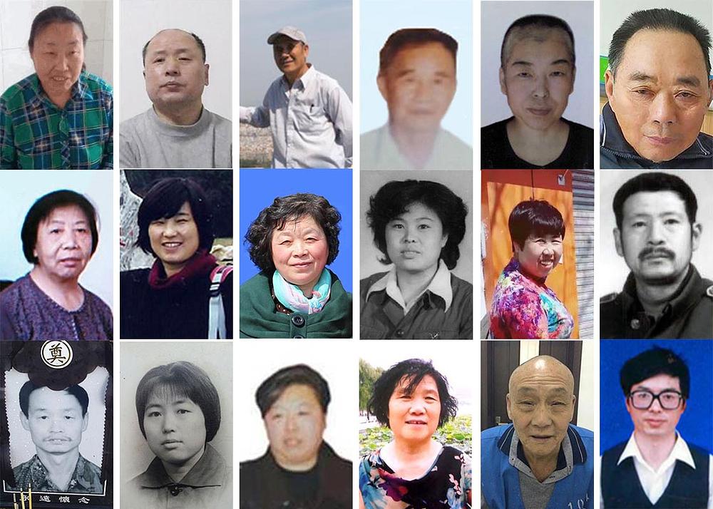 Falun Gong praktikanti progonjeni na smrt u 2020. godini
 
Gornji red (slijeva na desno): Xian Yongfen, Hu Lin, Yu Yongman, Li Rongfeng, Li Guojun, Liu Fating
 
Srednji red (slijeva na desno): Fu Shuqin, Zhou Xiuzhen, Zhou Shujie, Lin Guizhi, Gao Yan, Jiang Quande
 
Donji red (slijeva na desno): Bian Qunlian, Zhang Ronghuan, Zhu Yan, Yu Wenze, Li Shaochen, Deng Xiaoming
