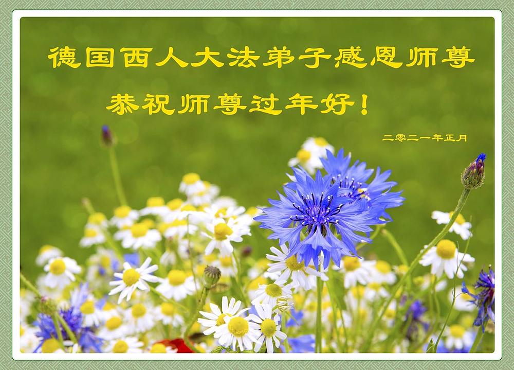 Falun Dafa praktikanti iz Nemačke upućuju Učitelju čestitke za kinesku Novu godinu i izražavaju mu zahvalnost.
