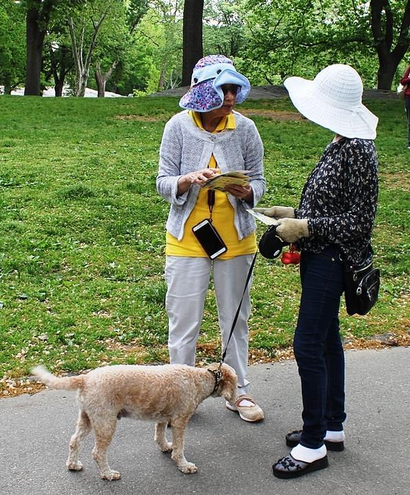 Lucia Tristao (na slici lijevo) razgovara sa Falun Dafa praktikantima kako bi saznala više o prakticiranju.