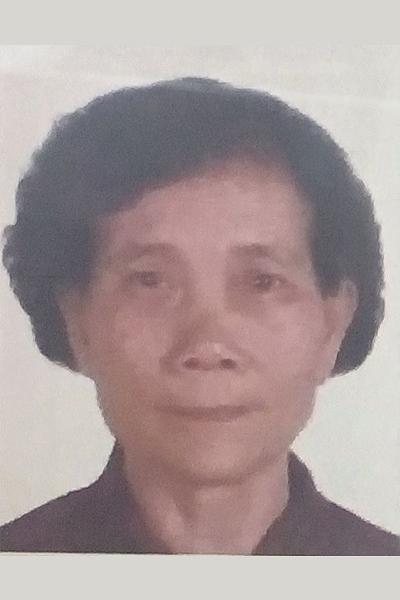 Gđa Wang Xuezhen 