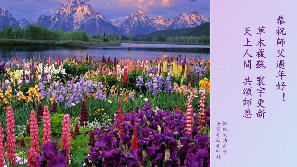  Falun Dafa praktikanti iz Norveške s poštovanjem žele poštovanom Učitelju srećnu kinesku Novu godinu!