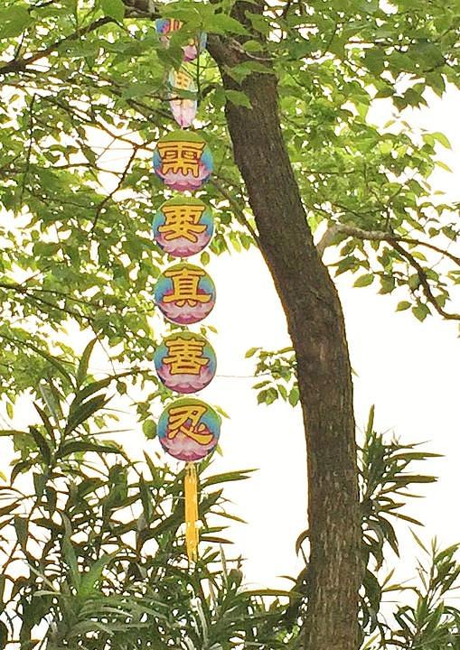 Na poruci obješenoj o granu drveta u gradu Honghu, provincija Hebei piše: „Svijetu treba Istinitost-Dobrodušnost-Tolerancija“.