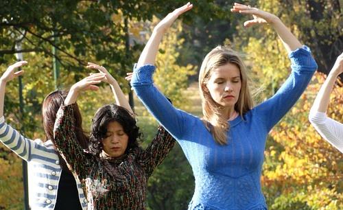 Falun Gong praktikanti rade vježbe u Fitzroy vrtovima