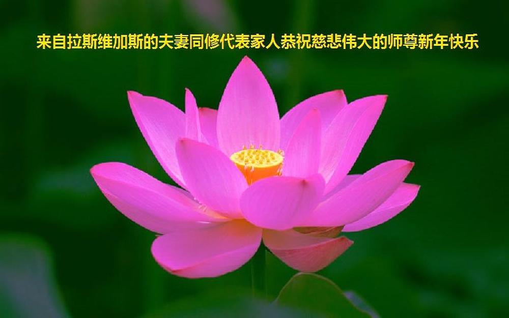 Falun Dafa praktikanti iz Las Vegasa s poštovanjem žele Učitelju Li Hongzhiju srećnu Kinesku novu godinu! 