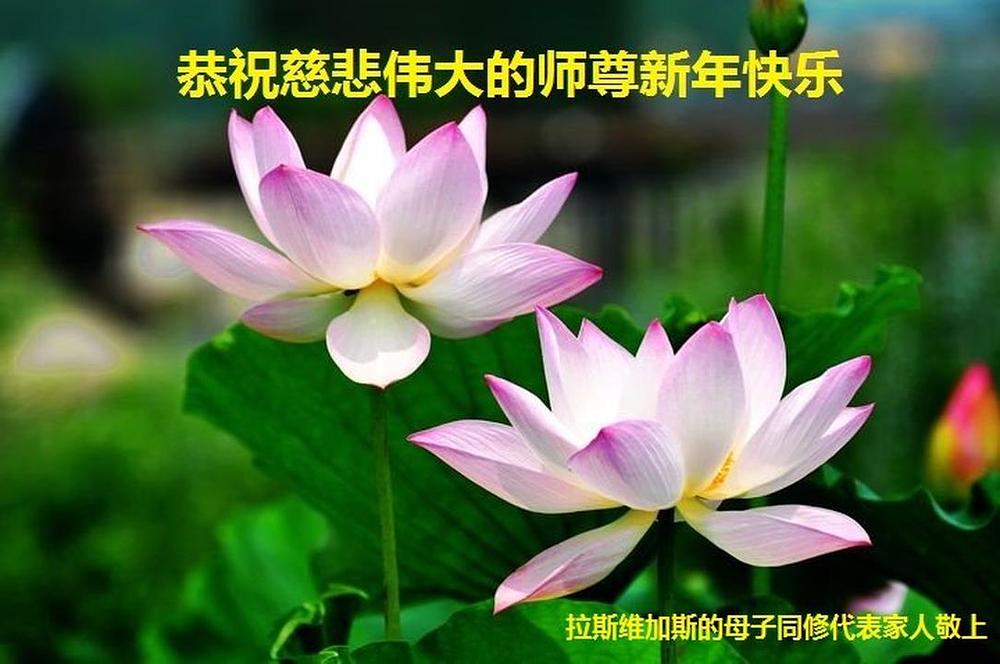 Falun Dafa praktikanti iz Las Vegasa s poštovanjem žele uzvišenom Učitelju Li Hongzhiju srećnu Kinesku novu godinu!