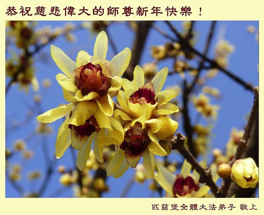 Falun Dafa praktikanti iz Pitsburga s poštovanjem žele Učitelju Li Hongzhiju srećnu Kinesku novu godinu! 