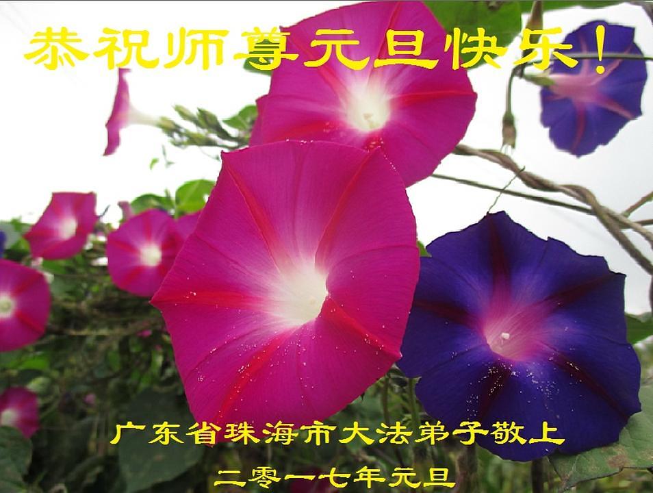 Praktikant iz grada Zhuhai u provinciji Guangdong želi Učitelju sretnu Novu godinu. On kaže: „Veoma cijenim to što me Učitelj vodi i štiti na mom putu kultivacije. Nastavit ću se marljivo kultivirati i gledati unutar sebe kad naiđem na teškoće.“ 