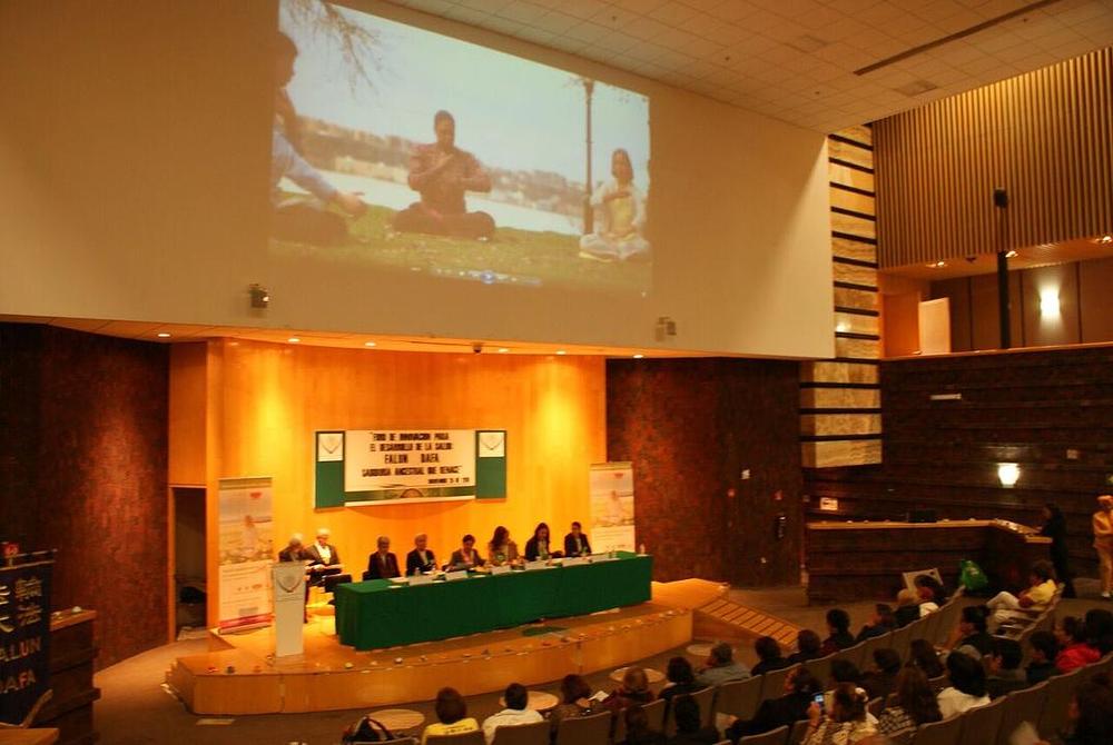 Praktikanti u Zastupničkom domu predstavljaju Falun Gong 25. novembra 2016. godine.