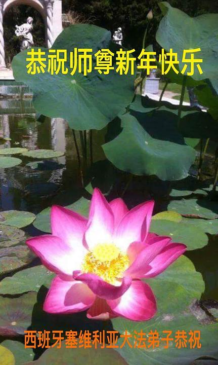 Čestitke praktikanata Učitelju iz Sevilje u Španiji