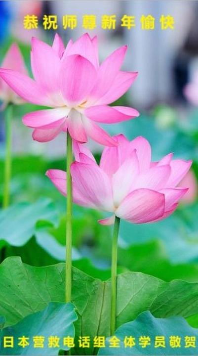 Čestitka Učitelju od praktikanata iz Telefonskog spasilačkog tima