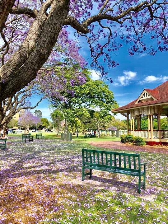 Prekrasni New Farm Park u oktobru mjesecu 2018. godine.