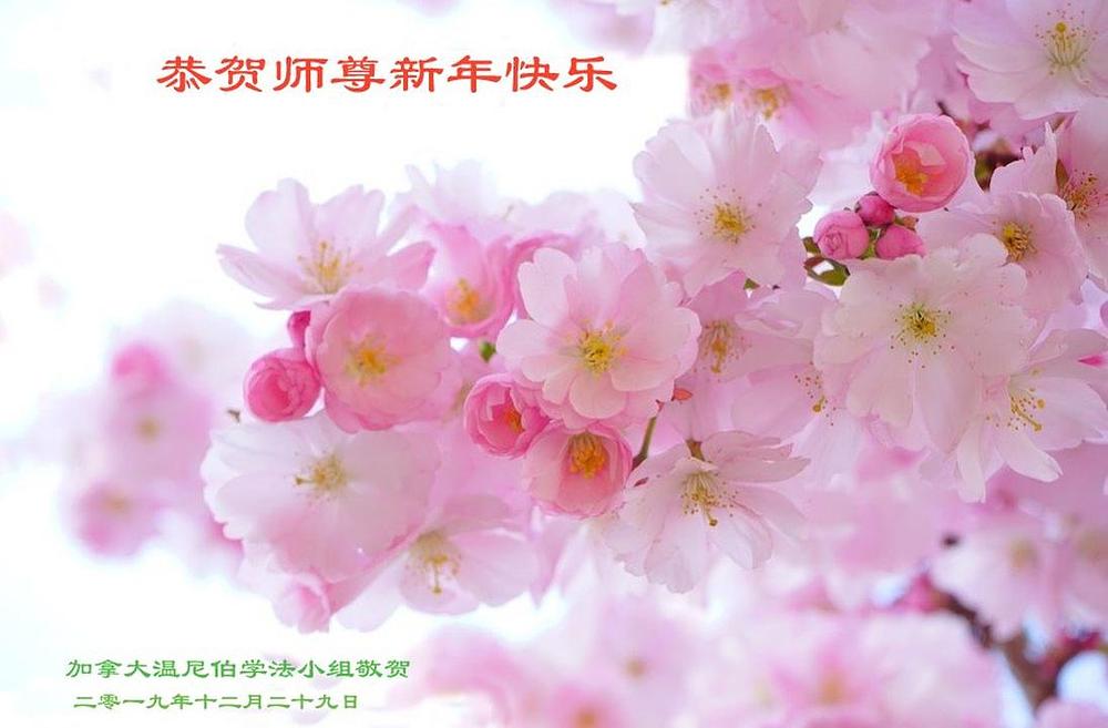 Čestitke Učitelju od praktikanata iz grupe za učenje Fa u Winnipegu