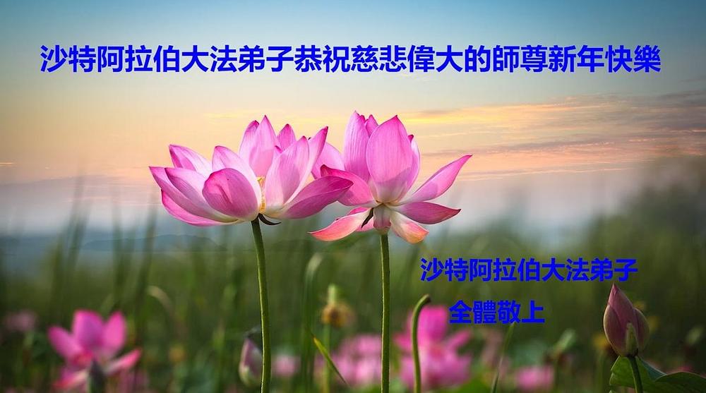 Čestitka iz Saudijske Arabije