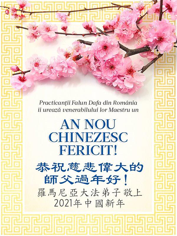 Rumunski praktikanti žele Učitelju Liju svako dobro