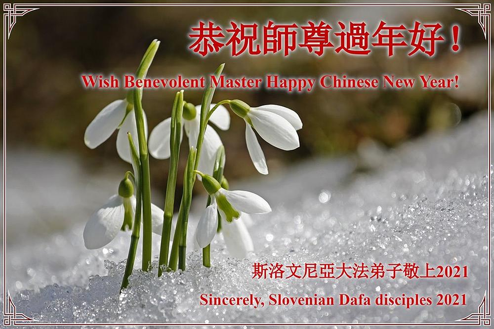 Čestitka iz Slovenije