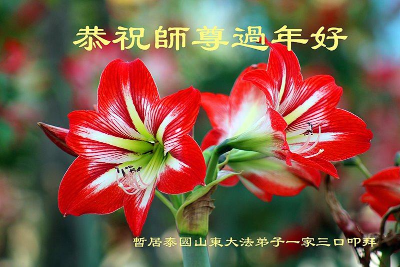 Novogodišnja čestitka učitelju od tročlane porodice praktikanata iz kineske provincije Šandong koji privremeno boravi na Tajlandu