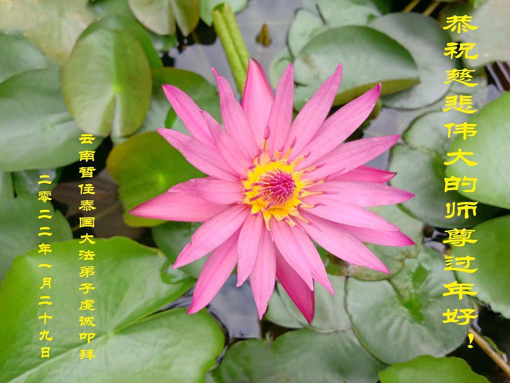   Novogodišnja čestitka učitelju od tročlane porodice praktikanata iz kineske provincije Šandong koji privremeno boravi na Tajlandu