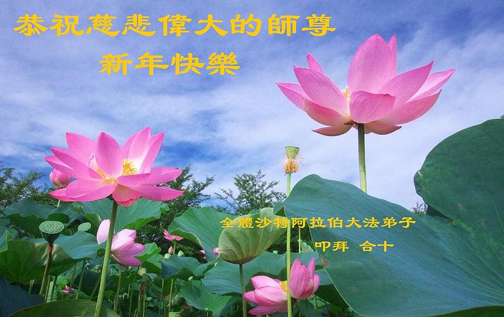 Pozdrave su poslali i praktikanti iz Saudijske Arabije.