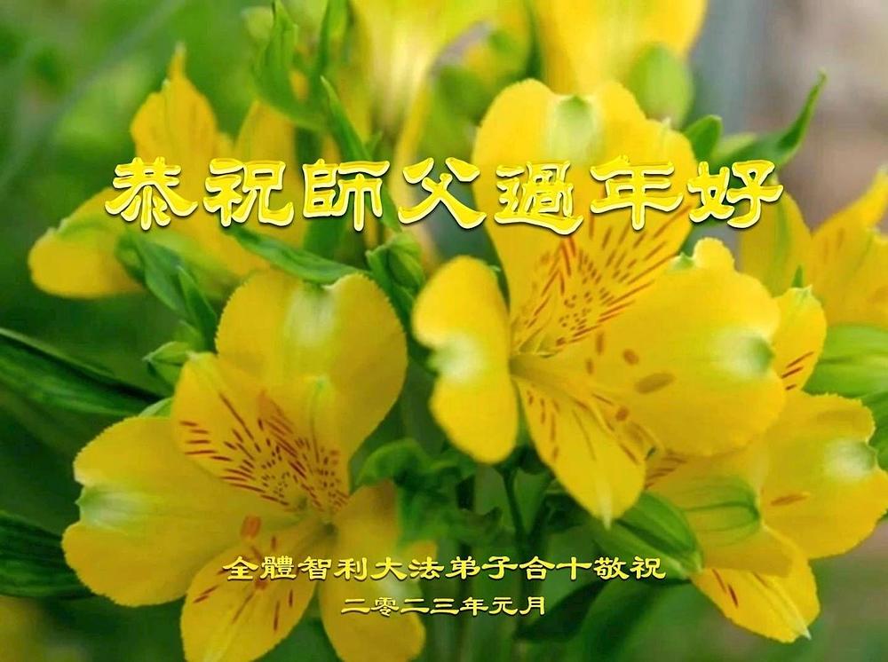 „Želimo Učitelju sretnu Novu godinu“, napisali su praktikanti iz Čilea 