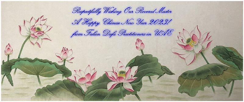 Novogodišnje čestitke od praktikanata iz Ujedinjenih Arapskih Emirata