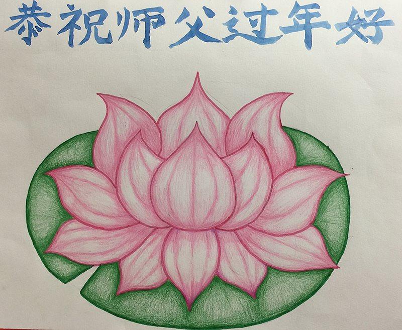 Pozdrav Učitelju od praktikanata iz Irske