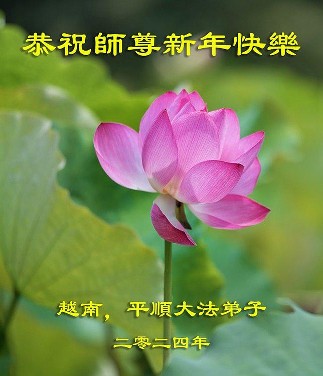 Pozdrav Učitelju od praktikanta iz Vijetnama