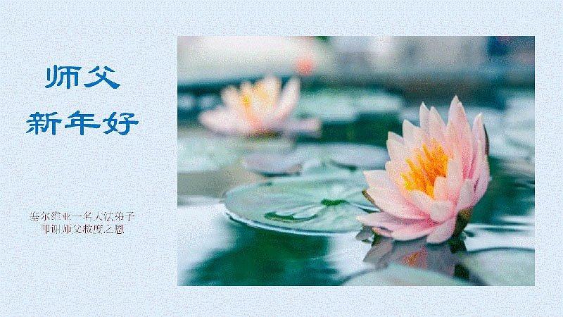 Čestitka Učitelju od praktikanta iz Srbije 