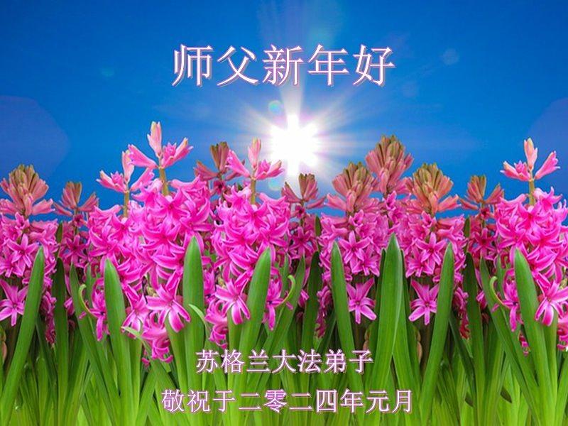 Škotski praktikanti žele Učitelju Liju sretnu Novu godinu.