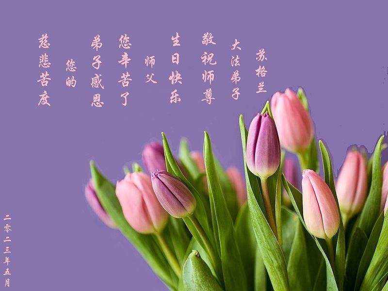  Praktikanti iz Škotske su zahvalni na Učiteljevom dobrodušnom  spasenju.