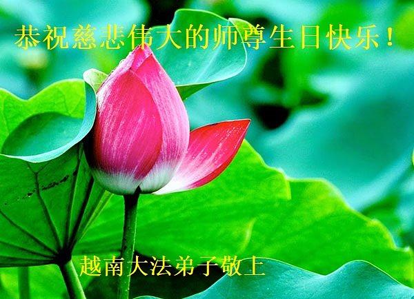 Pozdrav od praktikanata iz Hanoia, Vijetnam