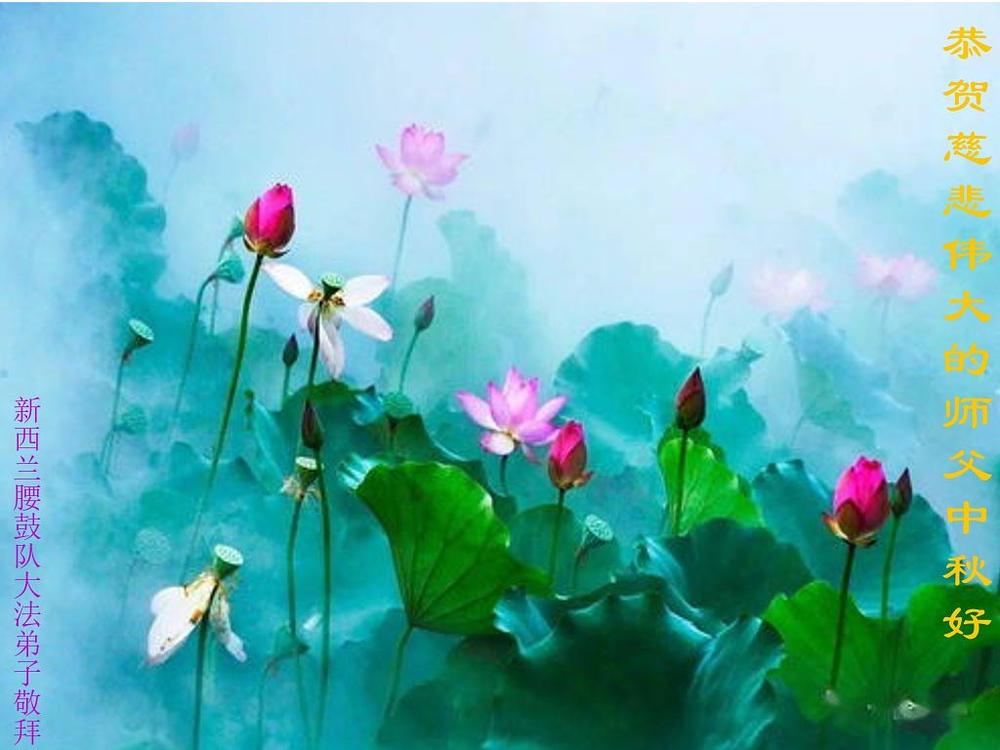 Čestitka  praktikanata iz dobošarske grupe na Novom Zelandu